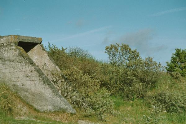 Strandspuren13.jpg