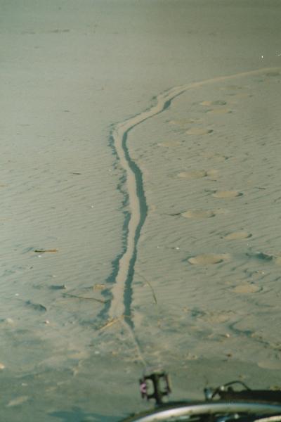 Strandspuren16.jpg