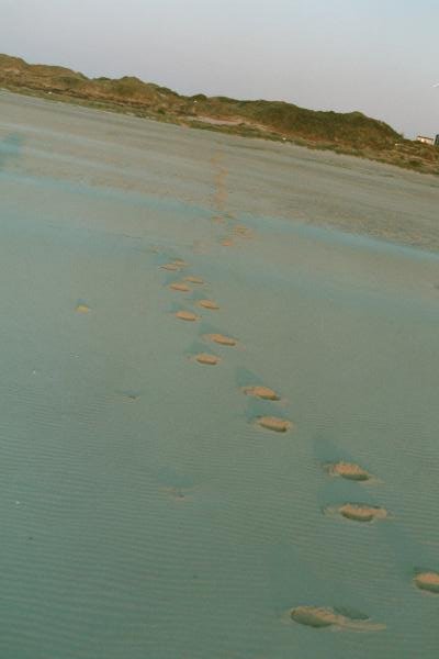 Strandspuren25.jpg