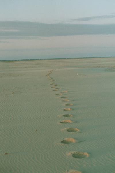 Strandspuren27.jpg