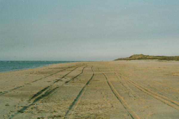 Strandspuren28.jpg