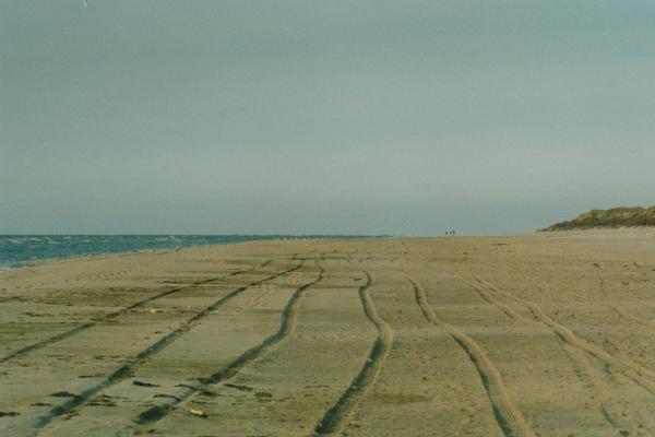 Strandspuren29.jpg