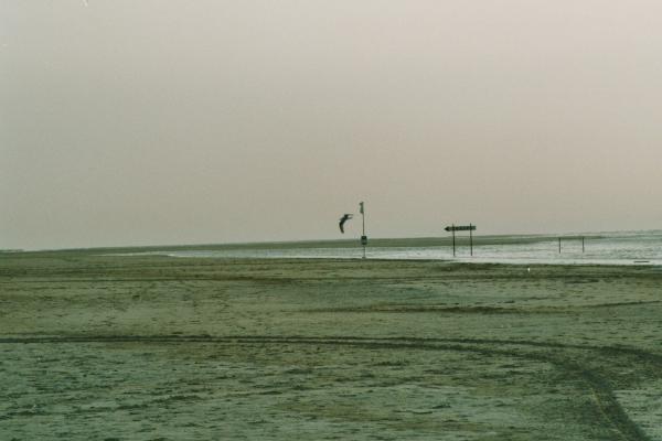 Strandspuren3.jpg