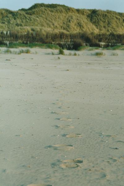 Strandspuren31.jpg