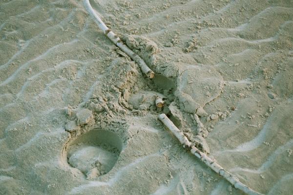 Strandspuren5.jpg