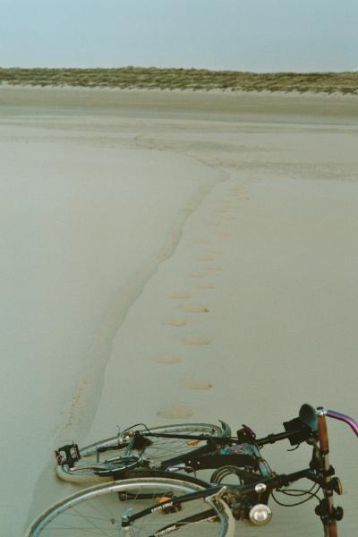 Strandspuren6.jpg