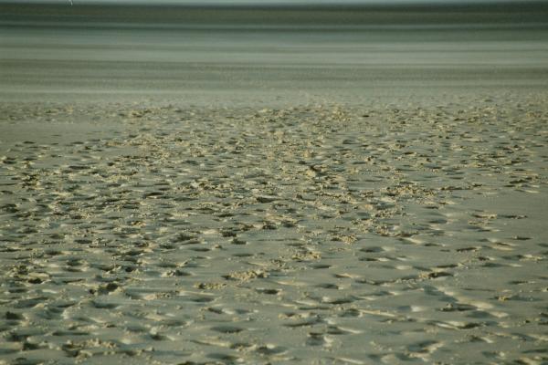 Strandspuren7.jpg